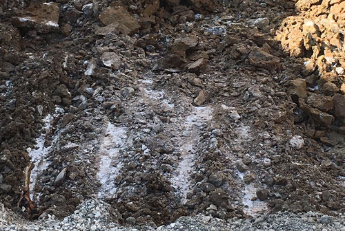 Wenn der Löffel nur noch kratzt Wenn der Löffel nur noch kratzt